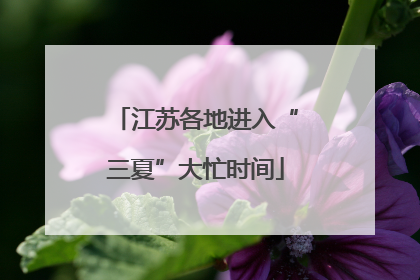 江苏各地进入“三夏”大忙时间