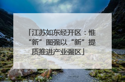 江苏如东经开区：惟“新”图强以“新”提质推进产业强区