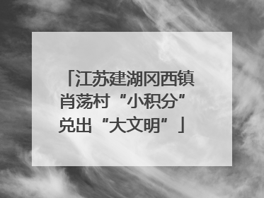 江苏建湖冈西镇肖荡村“小积分”兑出“大文明”