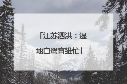 江苏泗洪：湿地白鹭育雏忙