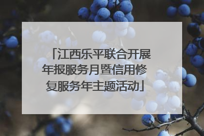 江西乐平联合开展年报服务月暨信用修复服务年主题活动