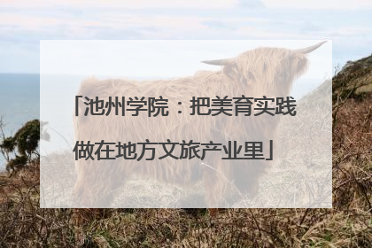 池州学院：把美育实践做在地方文旅产业里