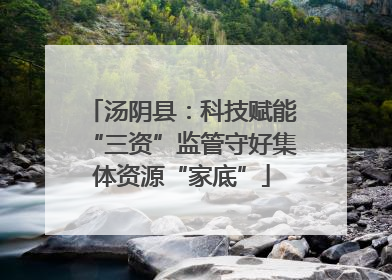 汤阴县：科技赋能“三资”监管守好集体资源“家底”