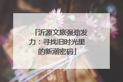沂源文旅强劲发力：寻找旧时光里的新潮密码