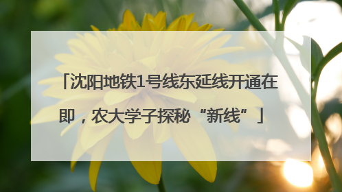 沈阳地铁1号线东延线开通在即，农大学子探秘“新线”