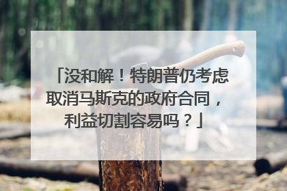 没和解！特朗普仍考虑取消马斯克的政府合同，利益切割容易吗？