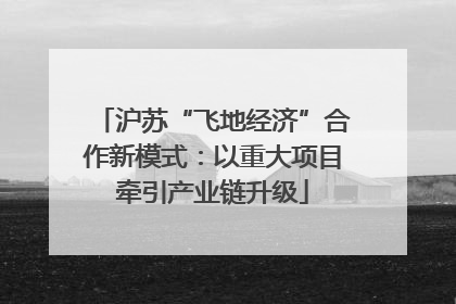 沪苏“飞地经济”合作新模式：以重大项目牵引产业链升级