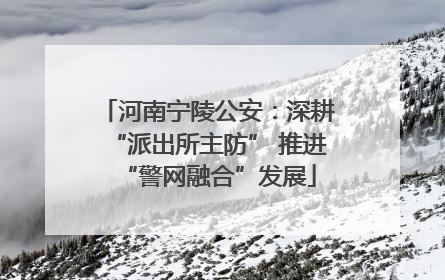 河南宁陵公安：深耕“派出所主防” 推进“警网融合”发展