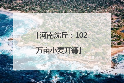 河南沈丘：102 万亩小麦开镰