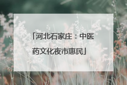 河北石家庄：中医药文化夜市惠民
