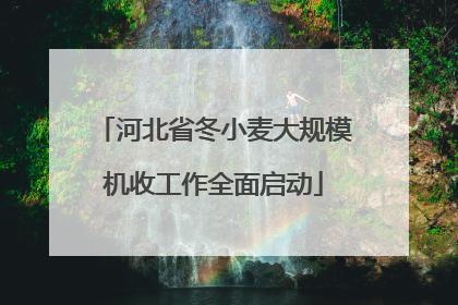 河北省冬小麦大规模机收工作全面启动