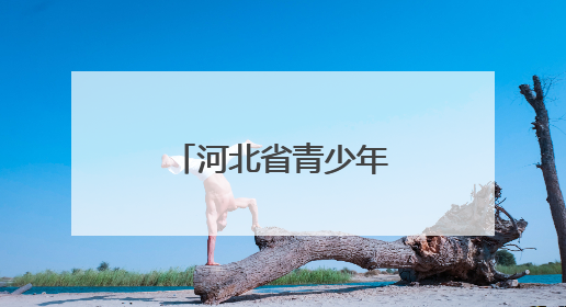 河北省青少年滑板冠军赛在秦皇岛举行