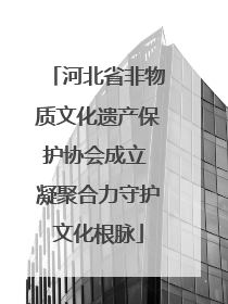 河北省非物质文化遗产保护协会成立 凝聚合力守护文化根脉