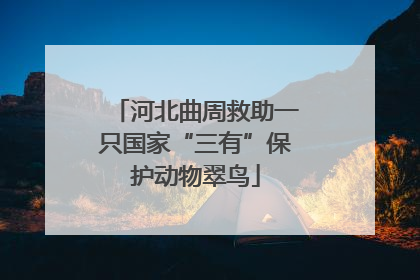 河北曲周救助一只国家“三有”保护动物翠鸟