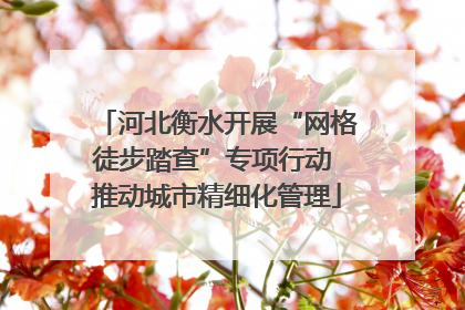 河北衡水开展“网格徒步踏查”专项行动 推动城市精细化管理