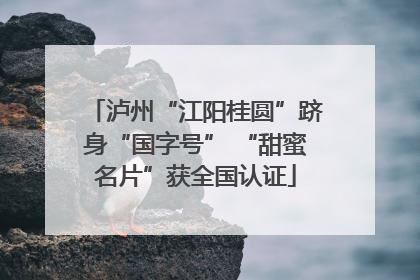 泸州“江阳桂圆”跻身“国字号” “甜蜜名片”获全国认证