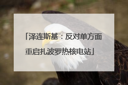 泽连斯基：反对单方面重启扎波罗热核电站