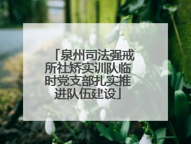 泉州司法强戒所社矫实训队临时党支部扎实推进队伍建设
