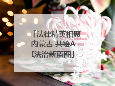 法律精英相聚内蒙古 共绘AI法治新蓝图