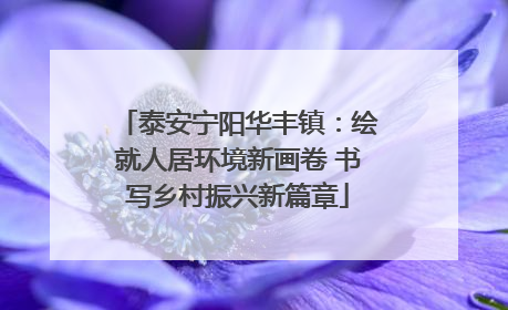 泰安宁阳华丰镇:绘就人居环境新画卷 书写乡村振兴新篇章