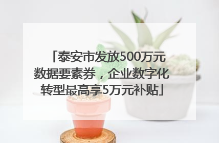 泰安市发放500万元数据要素券，企业数字化转型最高享5万元补贴