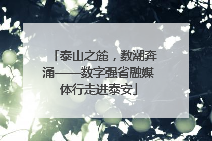 泰山之麓，数潮奔涌——数字强省融媒体行走进泰安