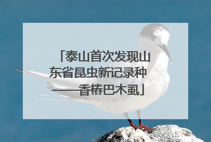 泰山首次发现山东省昆虫新记录种——香椿巴木虱