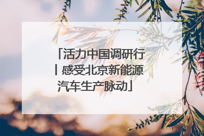 活力中国调研行丨感受北京新能源汽车生产脉动