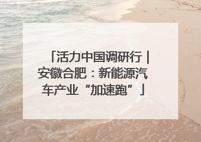 活力中国调研行｜安徽合肥：新能源汽车产业“加速跑”