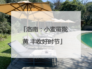 洛南：小麦覆陇黄 丰收好时节