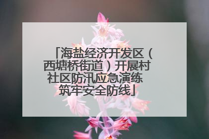 海盐经济开发区（西塘桥街道）开展村社区防汛应急演练 筑牢安全防线