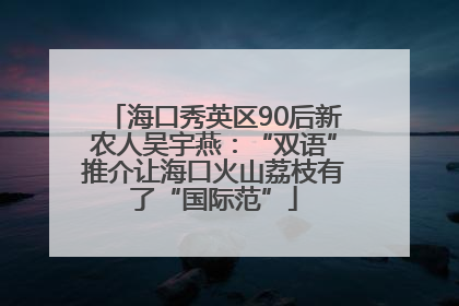海口秀英区90后新农人吴宇燕：“双语”推介让海口火山荔枝有了“国际范”