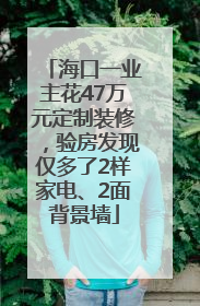 海口一业主花47万元定制装修，验房发现仅多了2样家电、2面背景墙