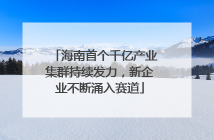 海南首个千亿产业集群持续发力，新企业不断涌入赛道