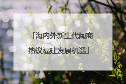 海内外新生代闽商热议福建发展机遇