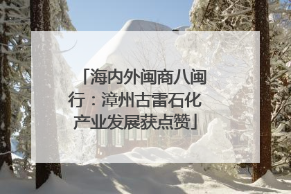海内外闽商八闽行：漳州古雷石化产业发展获点赞