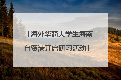 海外华裔大学生海南自贸港开启研习活动