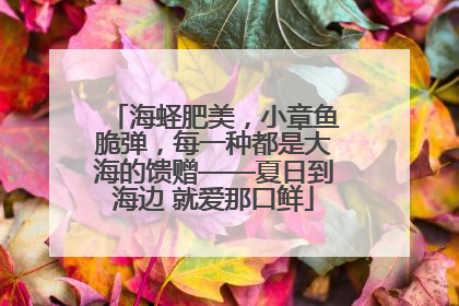 海蛏肥美，小章鱼脆弹，每一种都是大海的馈赠——夏日到海边 就爱那口鲜