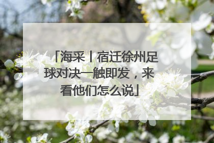 海采丨宿迁徐州足球对决一触即发，来看他们怎么说