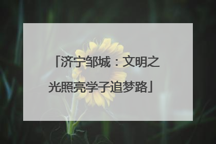 济宁邹城：文明之光照亮学子追梦路