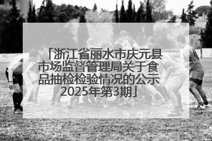 浙江省丽水市庆元县市场监督管理局关于食品抽检检验情况的公示2025年第3期