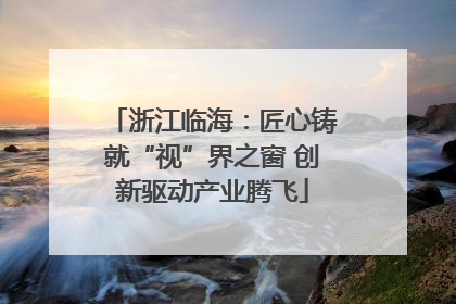 浙江临海：匠心铸就“视”界之窗 创新驱动产业腾飞