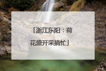 浙江东阳：荷花盛开采摘忙