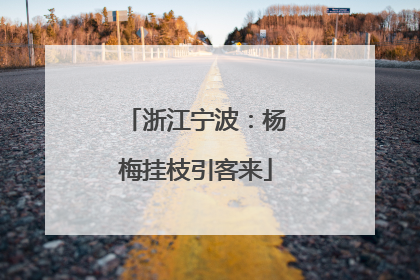 浙江宁波：杨梅挂枝引客来