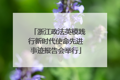 浙江政法英模践行新时代使命先进事迹报告会举行