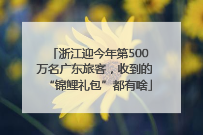 浙江迎今年第500万名广东旅客，收到的“锦鲤礼包”都有啥