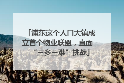 浦东这个人口大镇成立首个物业联盟，直面“三多三难”挑战