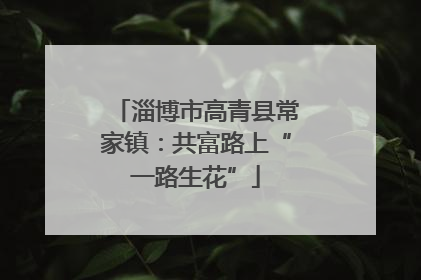 淄博市高青县常家镇：共富路上“一路生花”