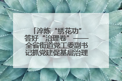 淬炼“绣花功” 答好“治理卷”——全省街道党工委副书记抓党建促基层治理培训示范班侧记