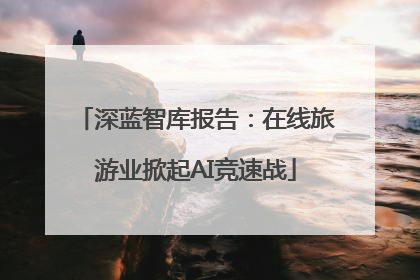 深蓝智库报告：在线旅游业掀起AI竞速战